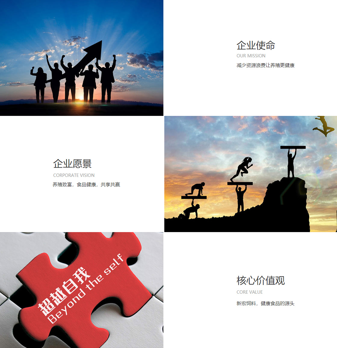 松鼠仓库企业文化(图1)